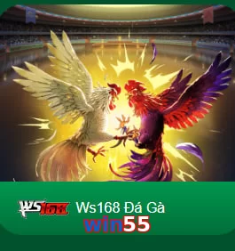 win55